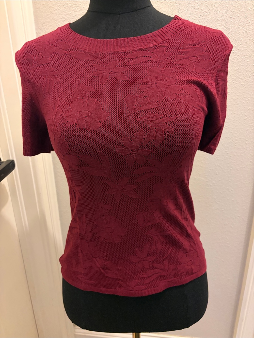 Z Supply Tibi Mesh Topin Burgundy NWT Medium Evereve